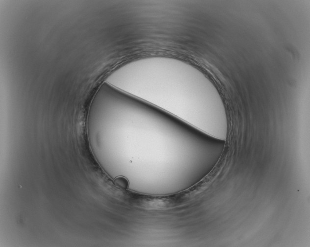 X0000113740513200909230948