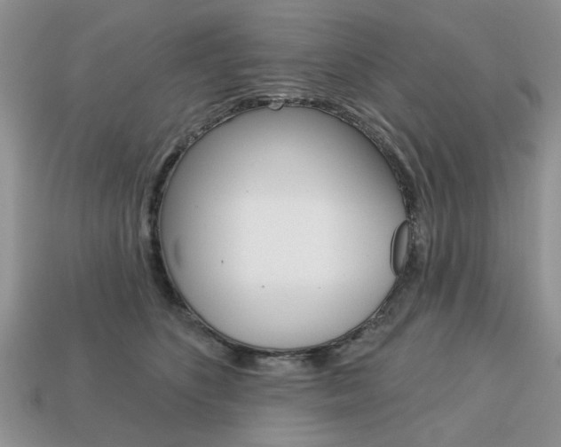 X0000113740516200909230948