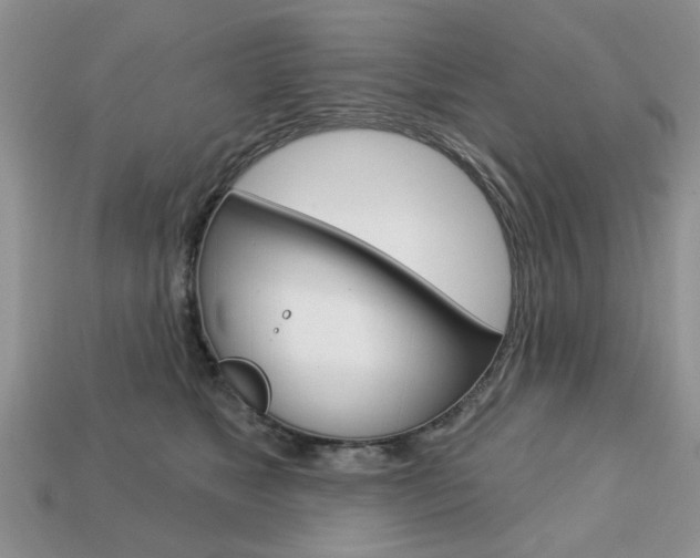 X0000113740517200909230948