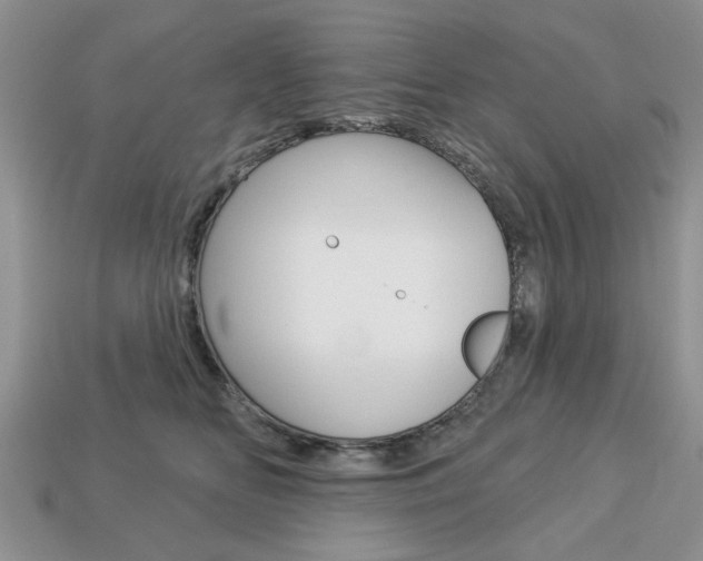 X0000113740518200909230948