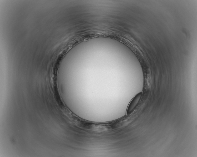 X0000113740520200909230948