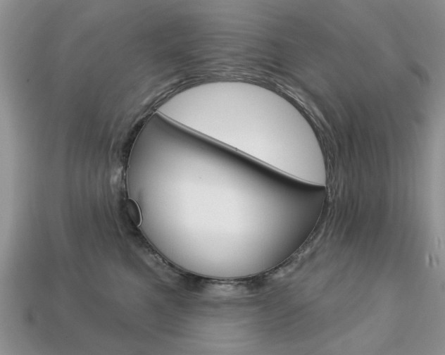 X0000113740521200909230948