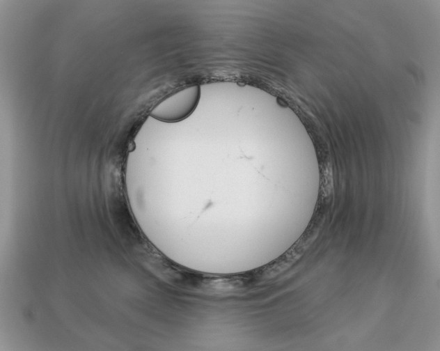 X0000113740522200909230948
