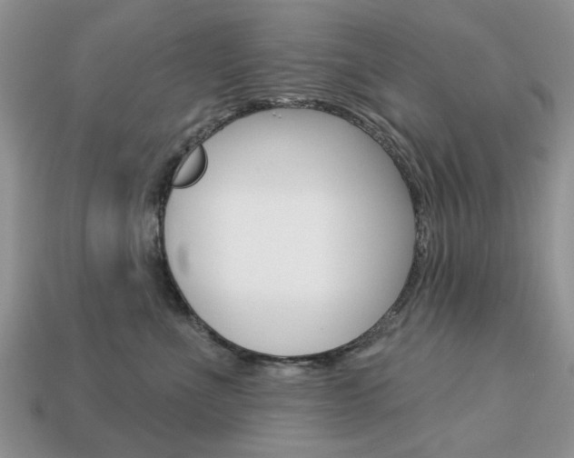 X0000113740523200909230948
