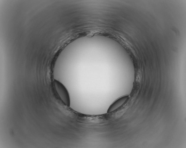 X0000113740524200909230948