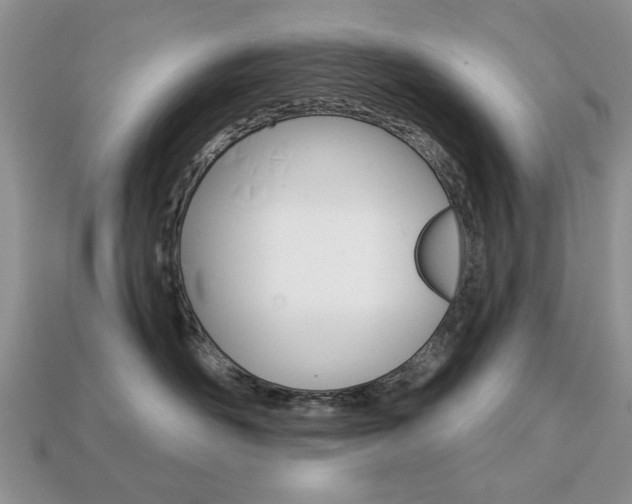 X0000113740526200909230948