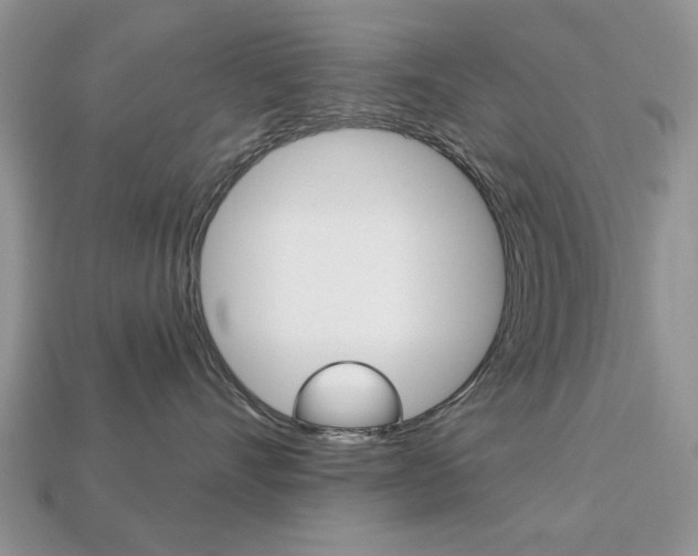 X0000113740528200909230948
