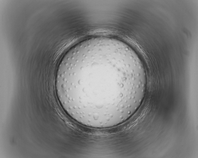 X0000113740529200909230947