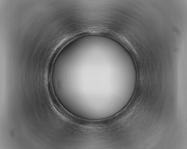 X0000113740530200909230947