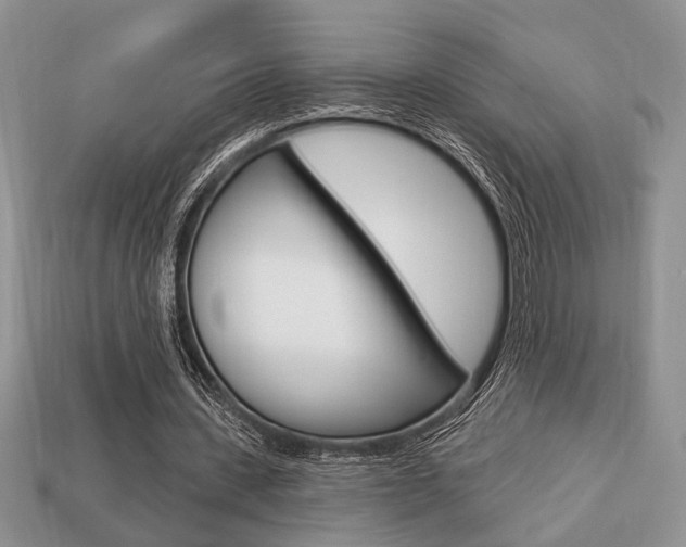 X0000113740531200909230947