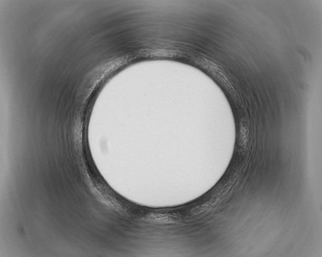 X0000113740534200909230947