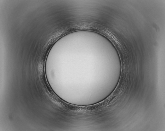 X0000113740537200909230947