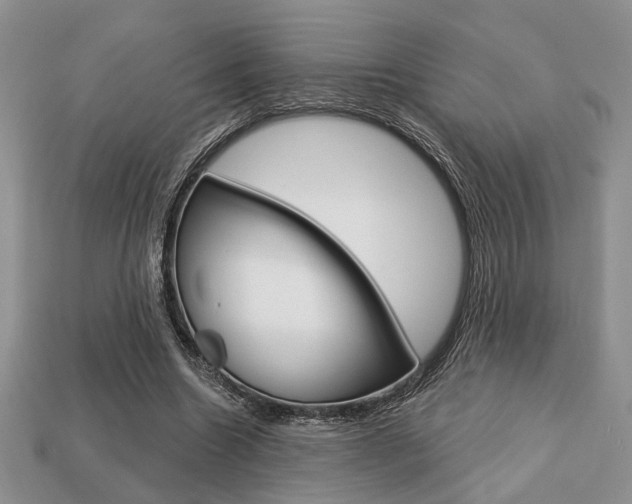 X0000113740538200909230947