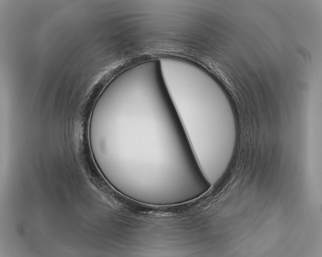 X0000113740539200909230947