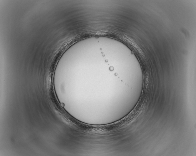 X0000113740541200909230947