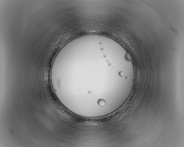 X0000113740545200909230948