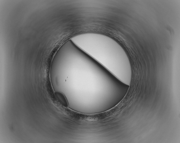 X0000113740546200909230948