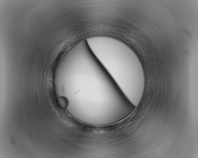 X0000113740547200909230948