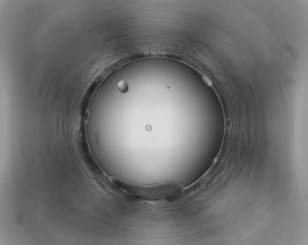 X0000113740548200909230948