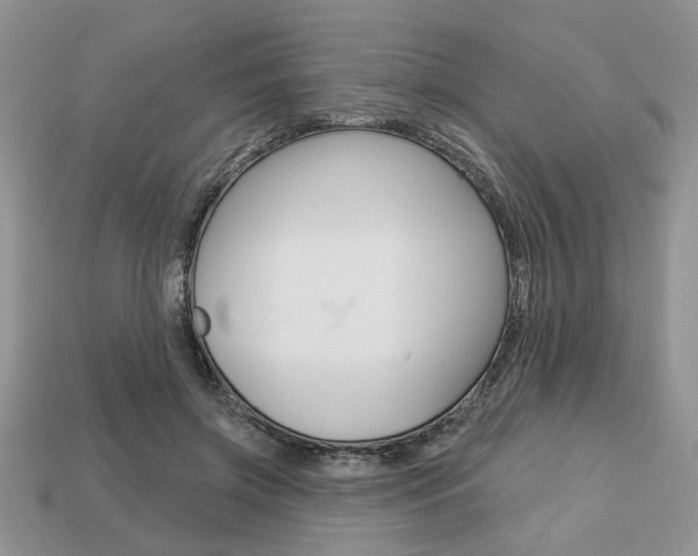 X0000113740549200909230948