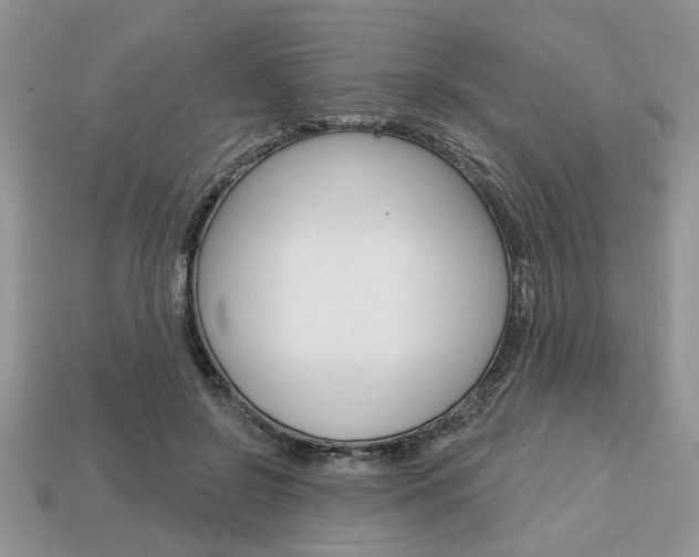 X0000113740550200909230948
