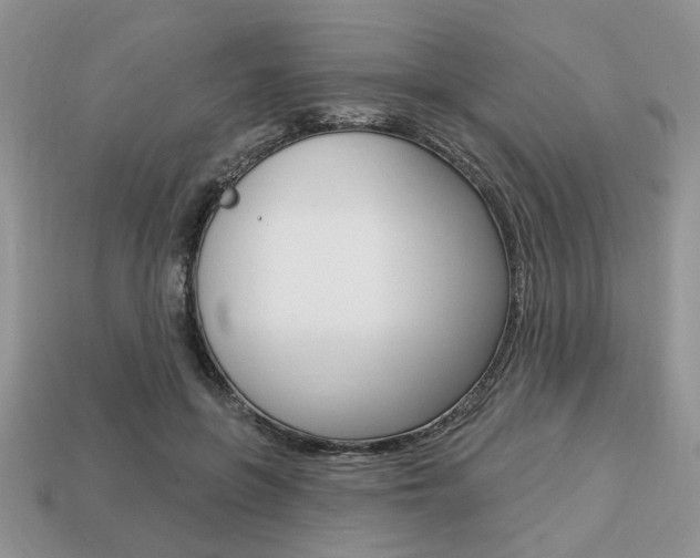 X0000113740551200909230948