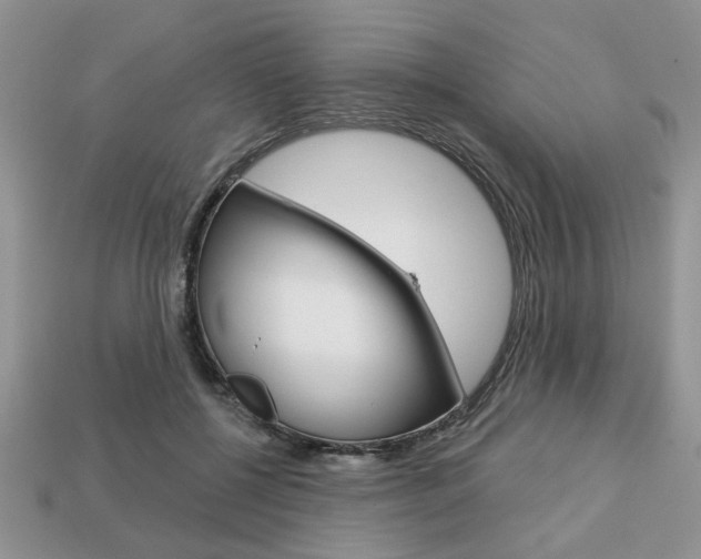 X0000113740552200909230948