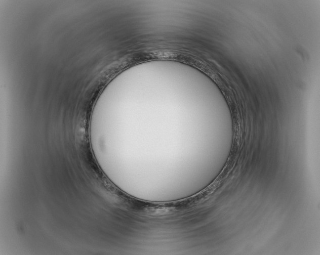 X0000113740553200909230948