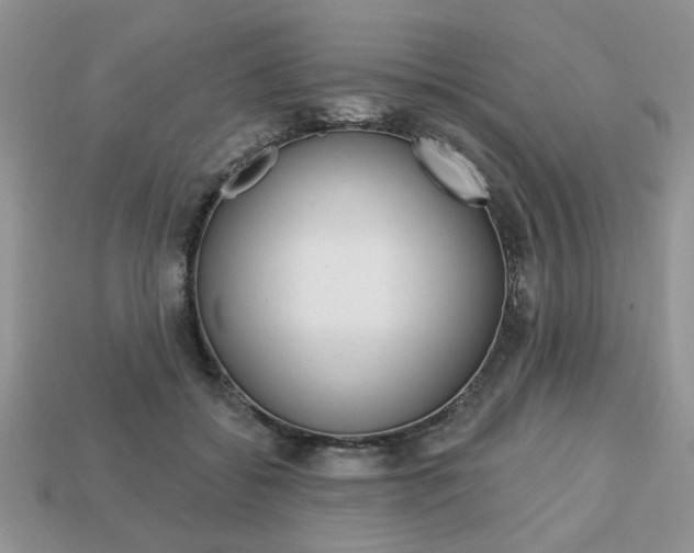 X0000113740556200909230948