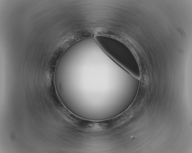 X0000113740558200909230948
