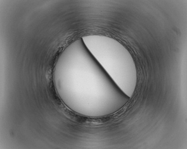 X0000113740559200909230948