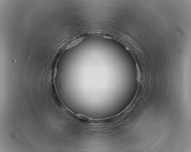 X0000113740560200909230948
