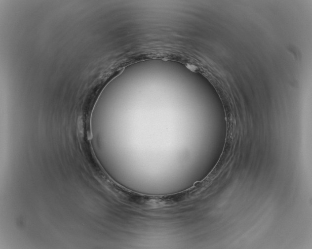 X0000113740562200909230948