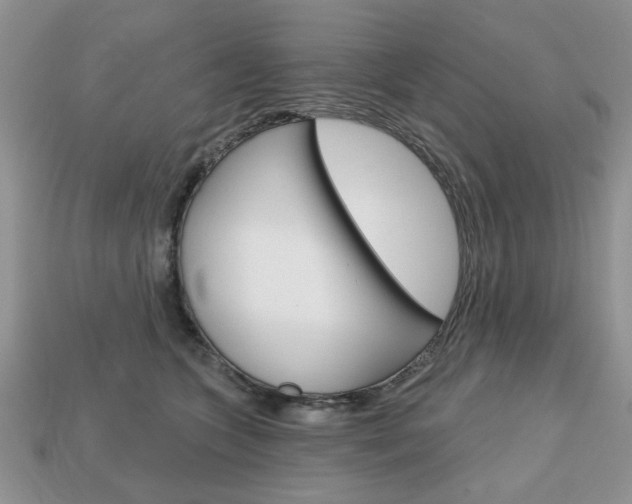 X0000113740563200909230948