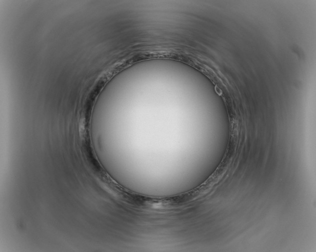 X0000113740564200909230948