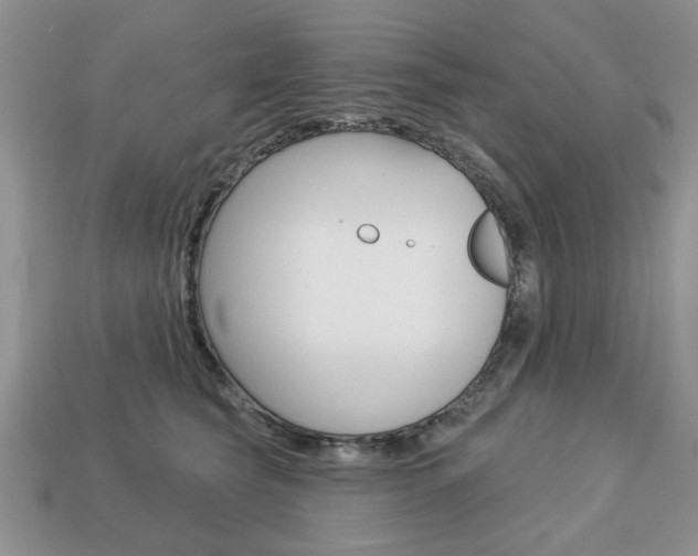 X0000113740565200909230948