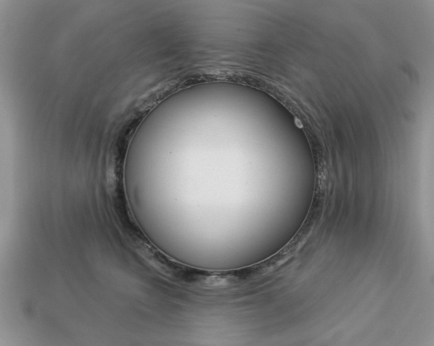 X0000113740566200909230948
