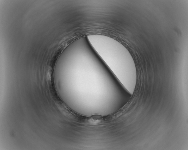 X0000113740570200909230948