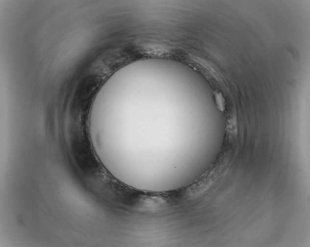 X0000113740572200909230948