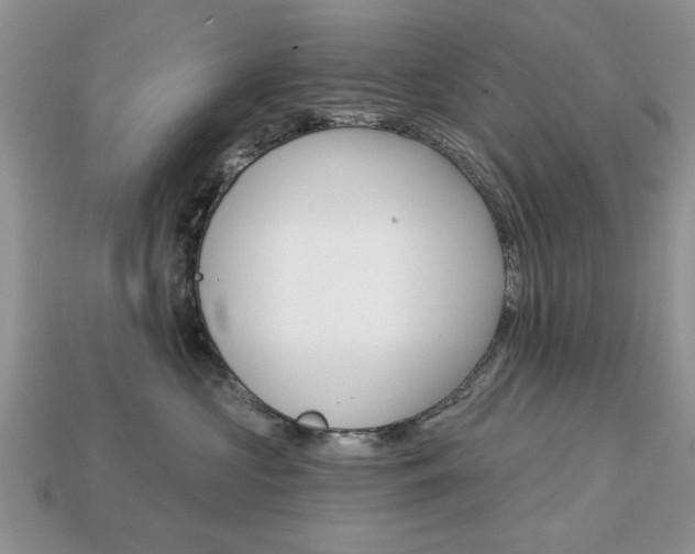 X0000113740573200909230948