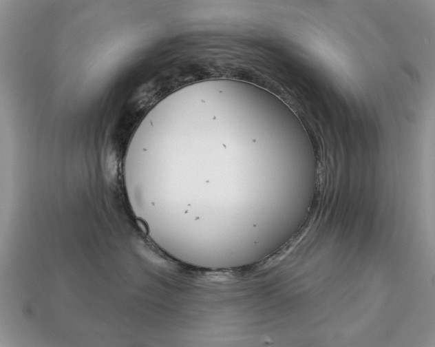 X0000113740574200909230948