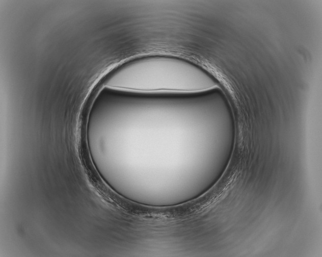 X0000113740580200909230947