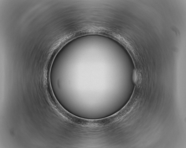 X0000113740581200909230947