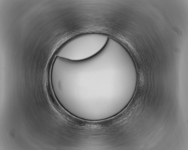 X0000113740582200909230947