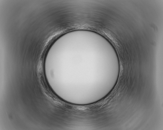 X0000113740583200909230947