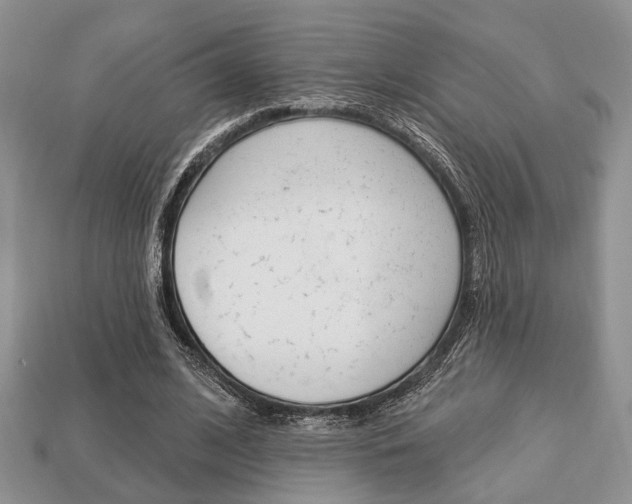 X0000113740584200909230947