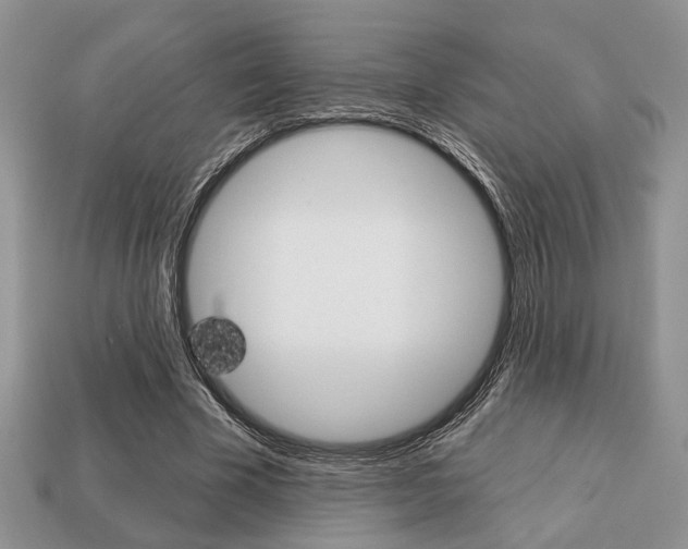 X0000113740585200909230947
