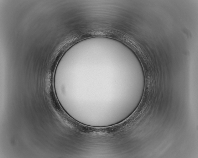X0000113740586200909230947