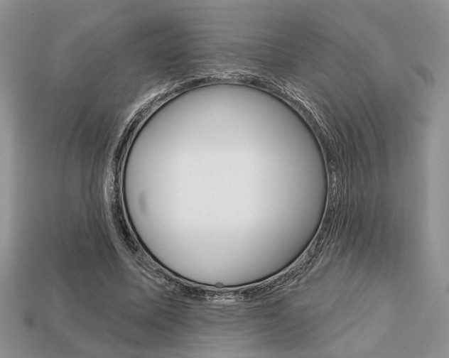 X0000113740587200909230947