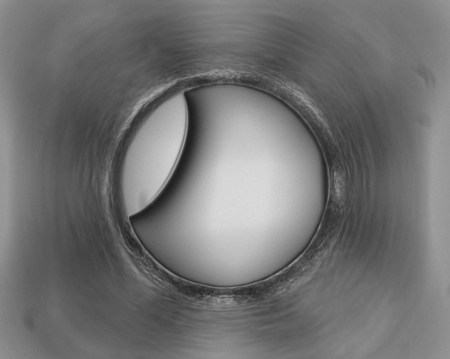 X0000113740588200909230947
